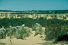 Sandwüste mit Kalksansteingebilden