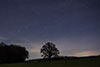 Baum mit Sternenhimmel