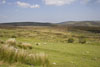 Dartmoor